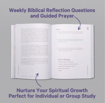 A Beautiful Year In The Bible: A 52 Week Bible Journal