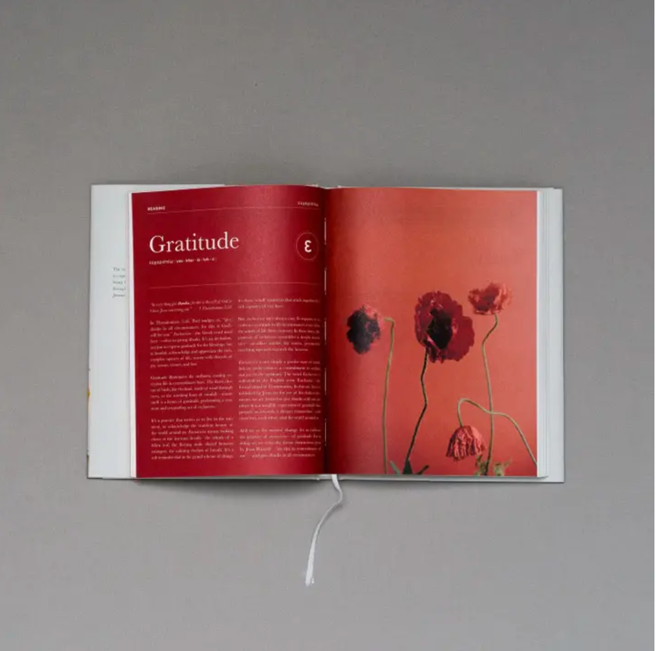 The Prayer Journal